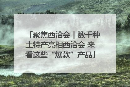 聚焦西洽会｜数千种土特产亮相西洽会 来看这些“爆款”产品