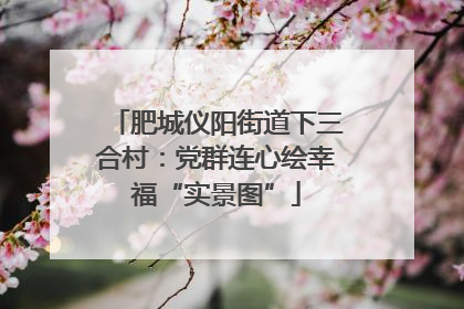 肥城仪阳街道下三合村：党群连心绘幸福“实景图”