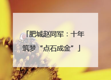 肥城赵同军：十年筑梦“点石成金”