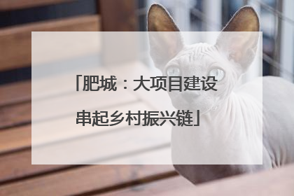 肥城：大项目建设串起乡村振兴链