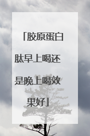 胶原蛋白肽早上喝还是晚上喝效果好