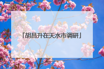 胡昌升在天水市调研