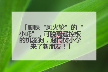 脚踩“风火轮”的“小吒”，可脱离遥控板的机器狗，泡桐树小学来了新朋友！