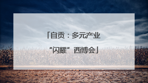 自贡：多元产业“闪耀”西博会