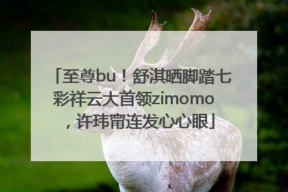至尊bu！舒淇晒脚踏七彩祥云大首领zimomo，许玮甯连发心心眼