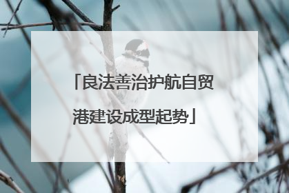 良法善治护航自贸港建设成型起势