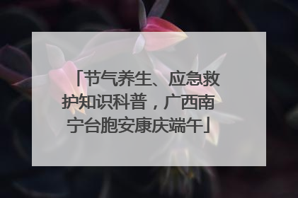 节气养生、应急救护知识科普，广西南宁台胞安康庆端午