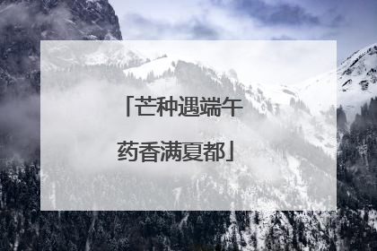 芒种遇端午 药香满夏都