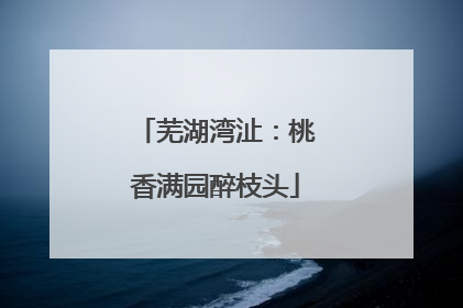 芜湖湾沚：桃香满园醉枝头