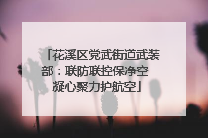花溪区党武街道武装部：联防联控保净空 凝心聚力护航空