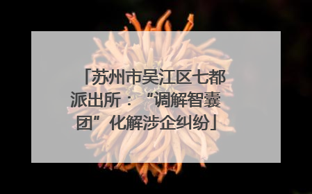 苏州市吴江区七都派出所：“调解智囊团”化解涉企纠纷
