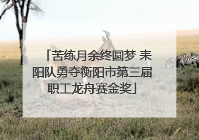 苦练月余终圆梦 耒阳队勇夺衡阳市第三届职工龙舟赛金奖