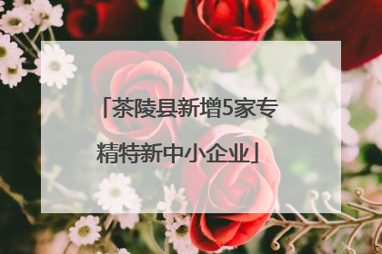 茶陵县新增5家专精特新中小企业