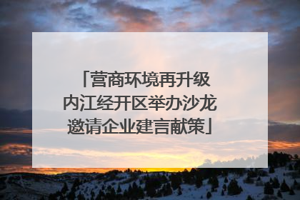 营商环境再升级 内江经开区举办沙龙邀请企业建言献策