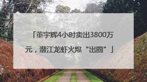 董宇辉4小时卖出3800万元，潜江龙虾火爆“出圈”
