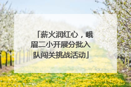 薪火润红心，峨眉二小开展分批入队闯关挑战活动