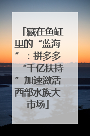 藏在鱼缸里的“蓝海”：拼多多“千亿扶持”加速激活西部水族大市场