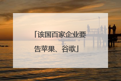 该国百家企业要告苹果、谷歌