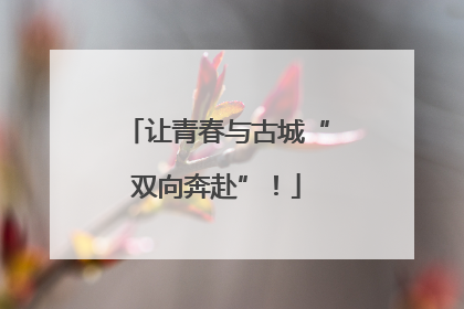让青春与古城“双向奔赴”！