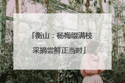 衡山：杨梅缀满枝 采摘尝鲜正当时
