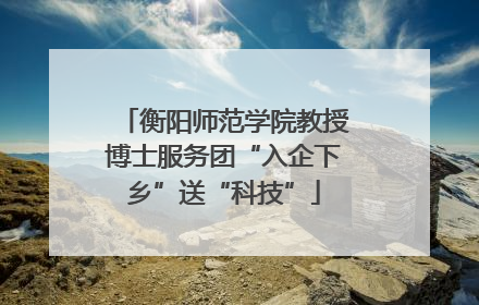 衡阳师范学院教授博士服务团“入企下乡”送“科技”
