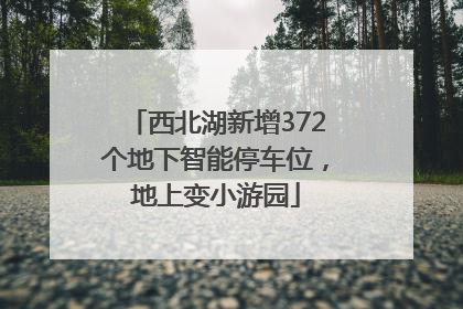 西北湖新增372个地下智能停车位，地上变小游园
