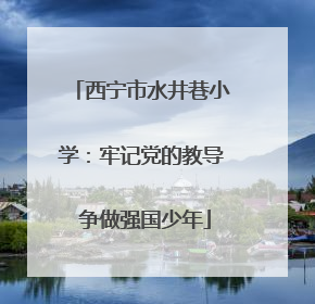 西宁市水井巷小学：牢记党的教导 争做强国少年