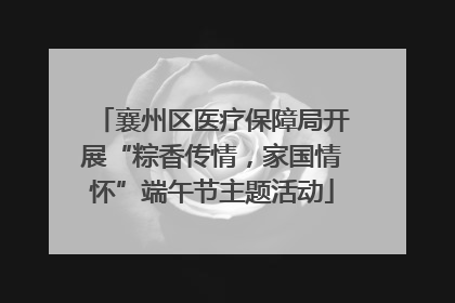 襄州区医疗保障局开展“粽香传情，家国情怀”端午节主题活动