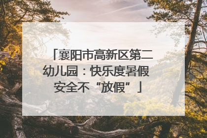 襄阳市高新区第二幼儿园：快乐度暑假 安全不“放假”