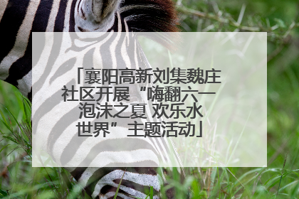襄阳高新刘集魏庄社区开展“嗨翻六一 泡沫之夏 欢乐水世界”主题活动