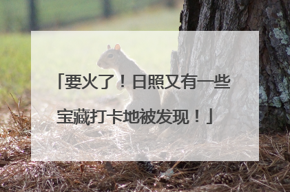 要火了！日照又有一些宝藏打卡地被发现！
