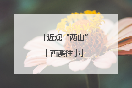 近观“两山”丨西溪往事