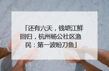 还有六天，钱塘江鲜回归，杭州杨公社区渔民：第一波盼刀鱼