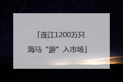 连江1200万只海马“游”入市场
