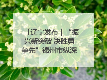辽宁发布｜“振兴新突破 决胜勇争先”锦州市纵深推进区域中心城市建设 打造高质量发展新增长极