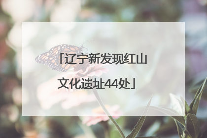 辽宁新发现红山文化遗址44处