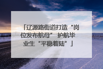 辽源路街道打造“岗位发布航母” 护航毕业生“平稳着陆”