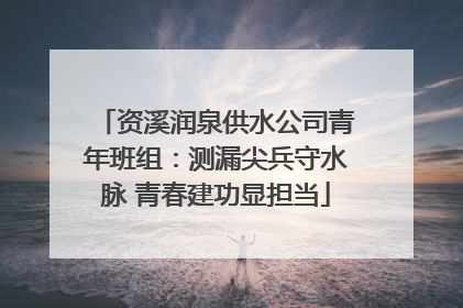 资溪润泉供水公司青年班组：测漏尖兵守水脉 青春建功显担当