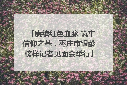 赓续红色血脉 筑牢信仰之基，枣庄市银龄榜样记者见面会举行