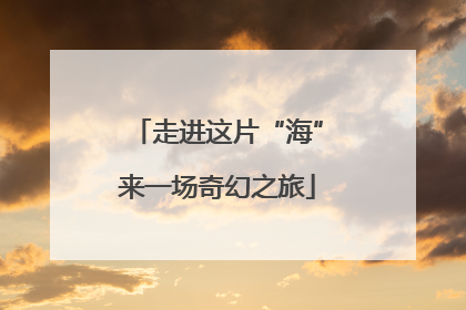 走进这片“海”来一场奇幻之旅