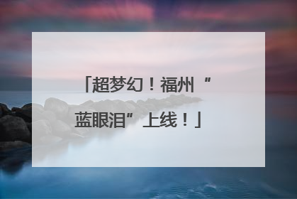 超梦幻！福州“蓝眼泪”上线！