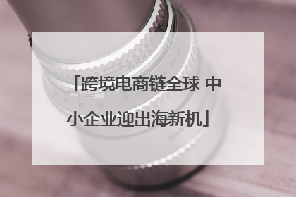 跨境电商链全球 中小企业迎出海新机