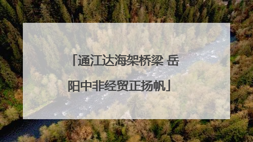 通江达海架桥梁 岳阳中非经贸正扬帆