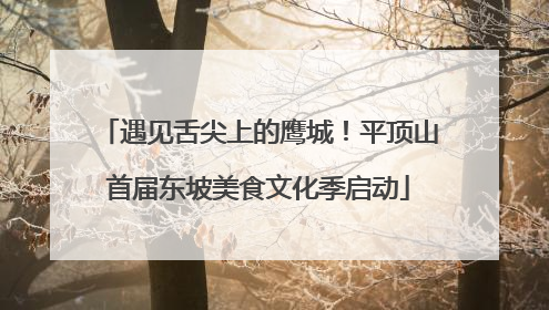 遇见舌尖上的鹰城！平顶山首届东坡美食文化季启动