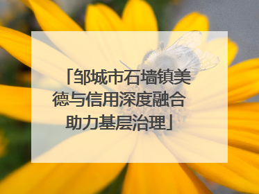 邹城市石墙镇美德与信用深度融合助力基层治理