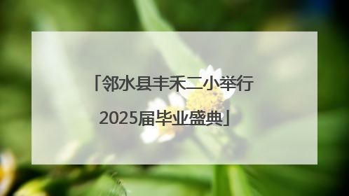 邻水县丰禾二小举行2025届毕业盛典