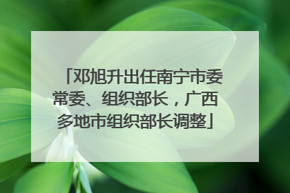 邓旭升出任南宁市委常委、组织部长，广西多地市组织部长调整