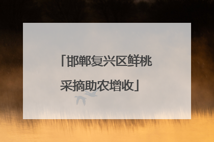 邯郸复兴区鲜桃采摘助农增收