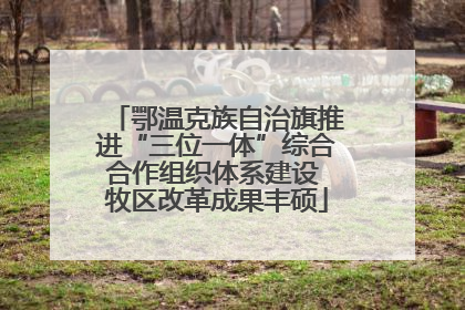 鄂温克族自治旗推进“三位一体”综合合作组织体系建设 牧区改革成果丰硕