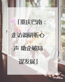 重庆巴南：走访调研听心声 助企破局谋发展